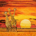 Giraffes, oil on canvas